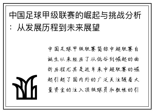 中国足球甲级联赛的崛起与挑战分析：从发展历程到未来展望