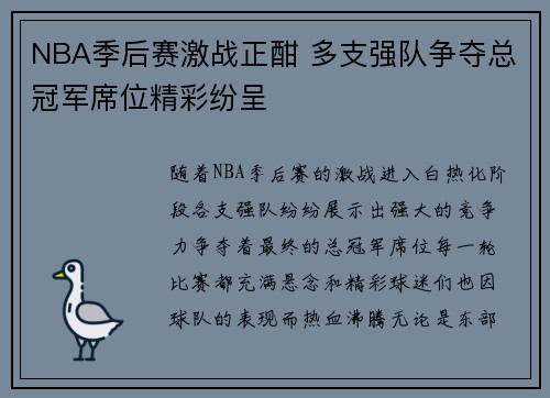 NBA季后赛激战正酣 多支强队争夺总冠军席位精彩纷呈