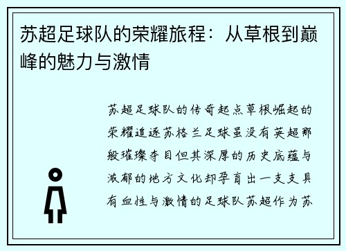 苏超足球队的荣耀旅程：从草根到巅峰的魅力与激情