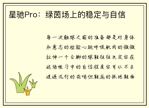 星驰Pro：绿茵场上的稳定与自信